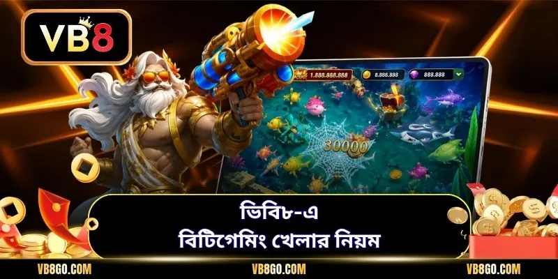 ভিবি৮-এ বিটিগেমিং খেলার নিয়ম